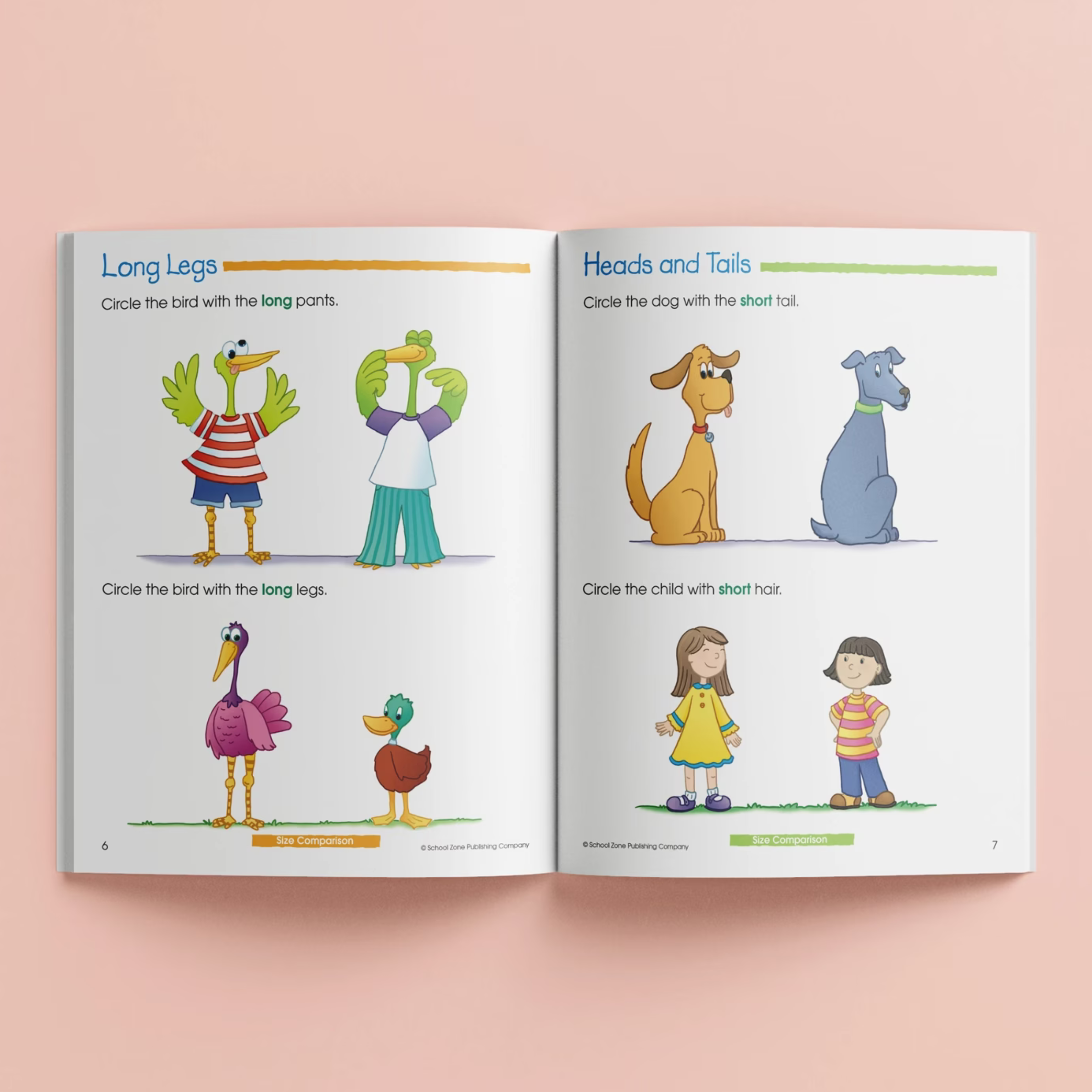 Preschool Basics Workbook