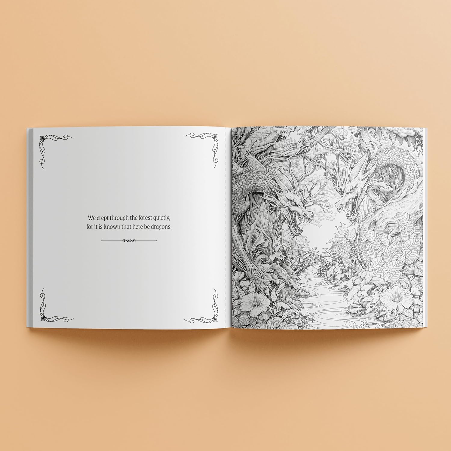 Dragon Riders – 48-Page Fantasy Adults Colouring Book