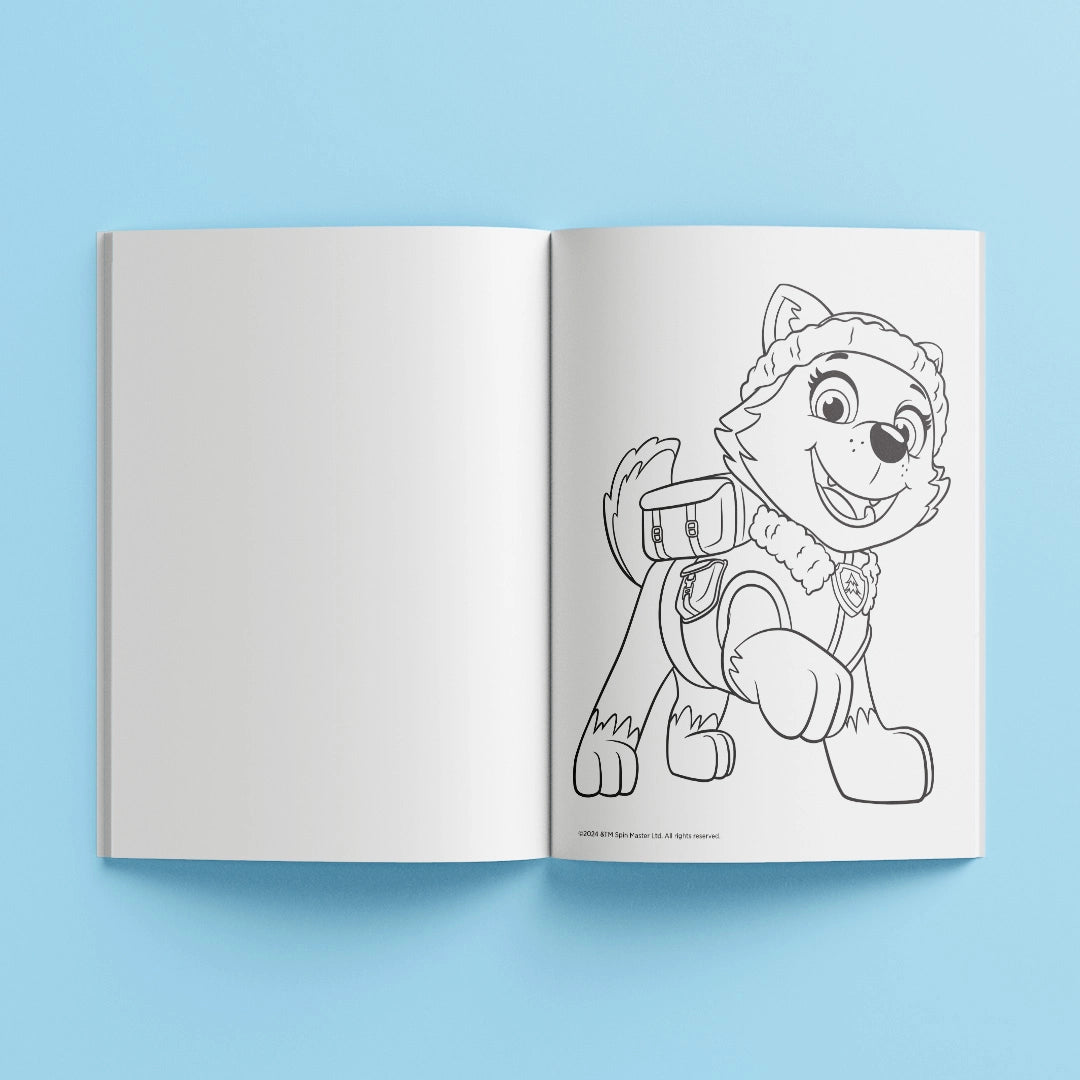 Paw Patrol Ultimate Colouring Carry Case